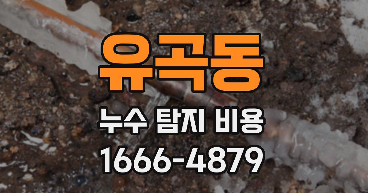 유곡동 누수 탐지 비용