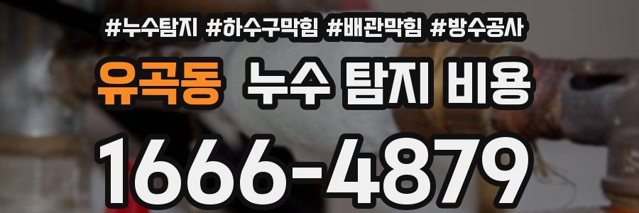 유곡동 누수 탐지 비용