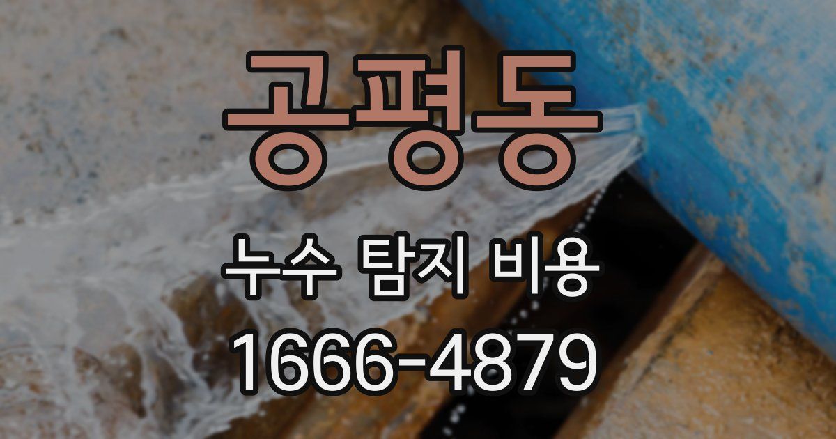 공평동 누수 탐지 비용