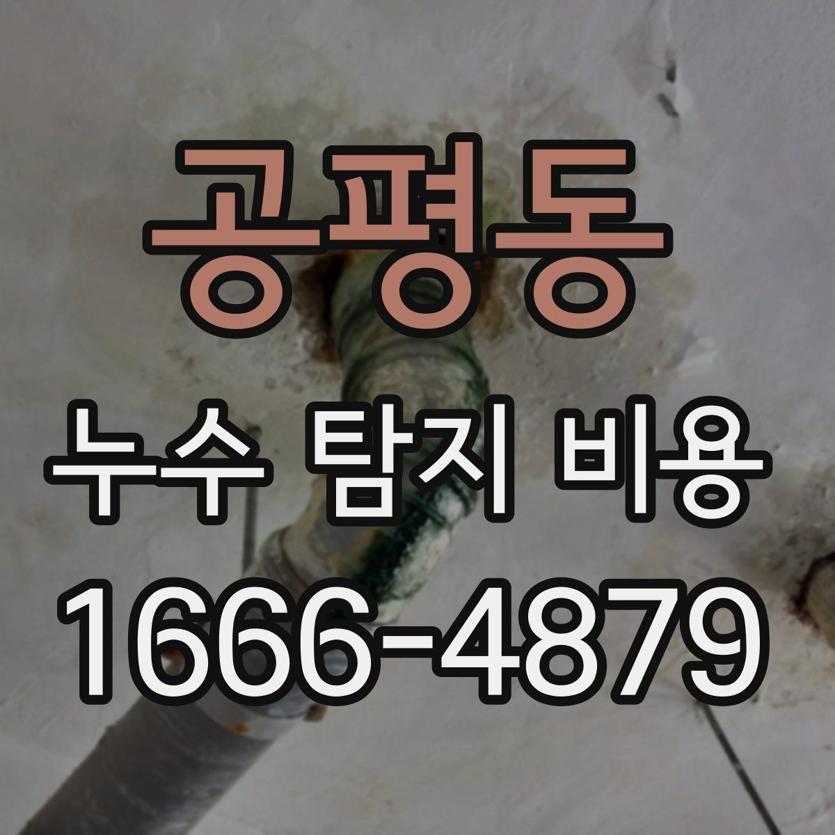 공평동 누수 탐지 비용