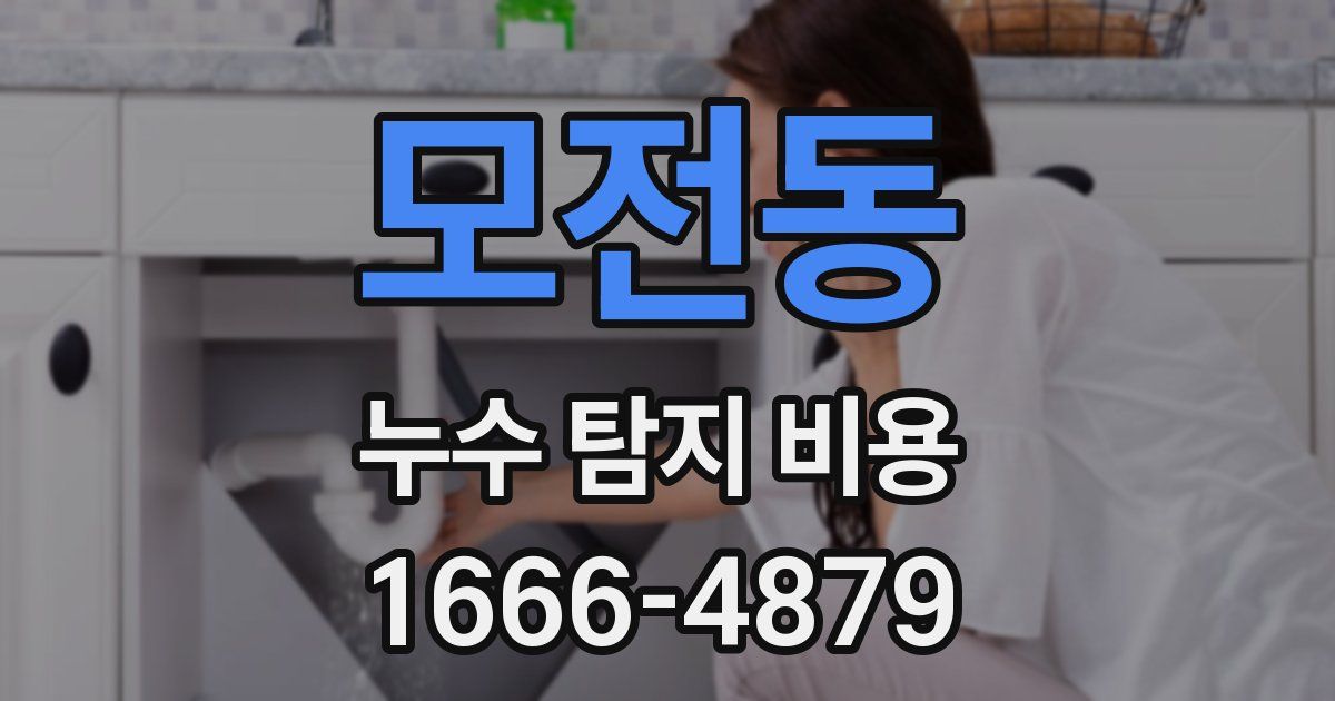 모전동 누수 탐지 비용