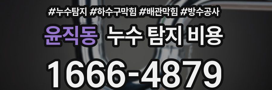 윤직동 누수 탐지 비용
