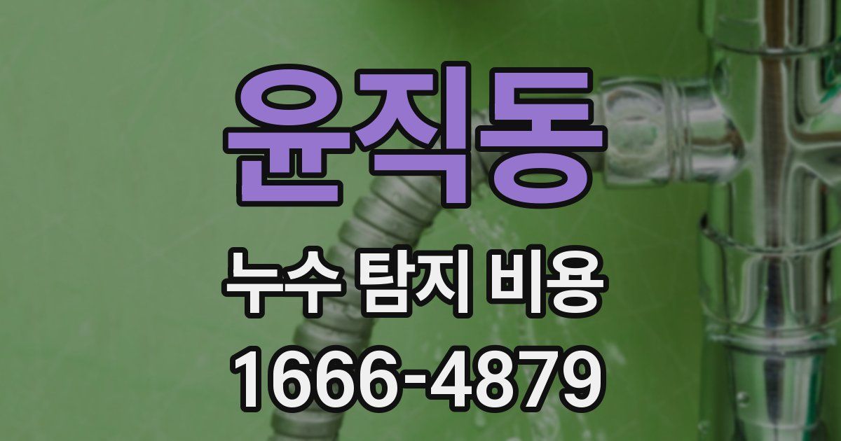 윤직동 누수 탐지 비용
