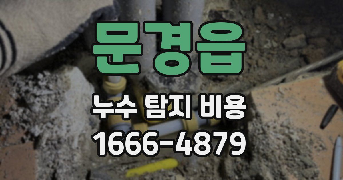 문경읍 누수 탐지 비용