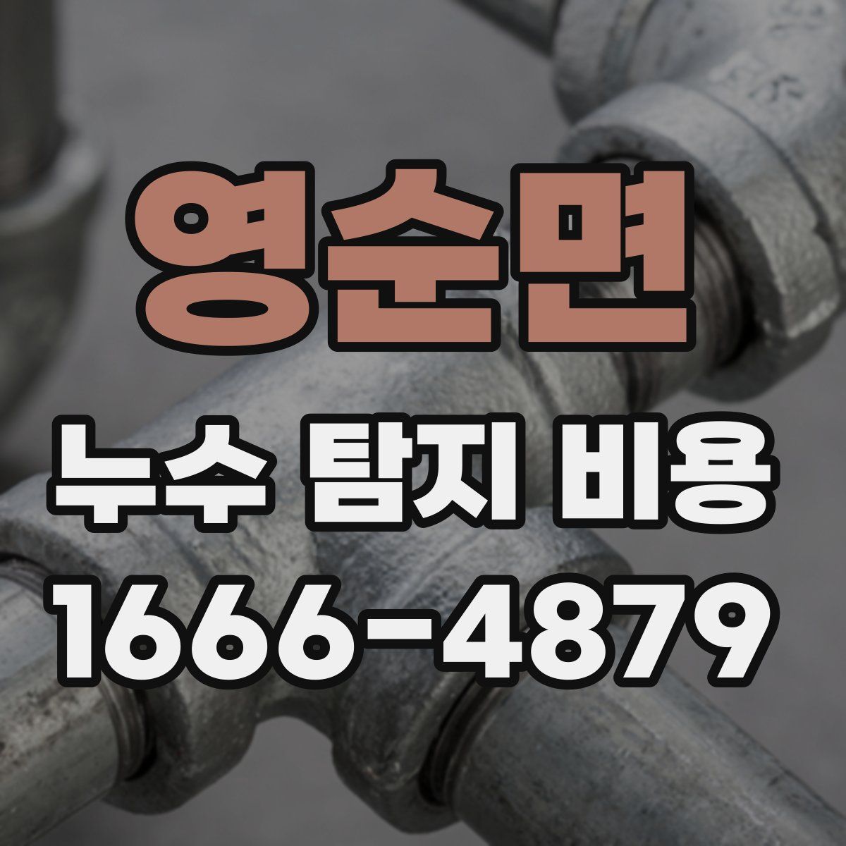 영순면 누수 탐지 비용
