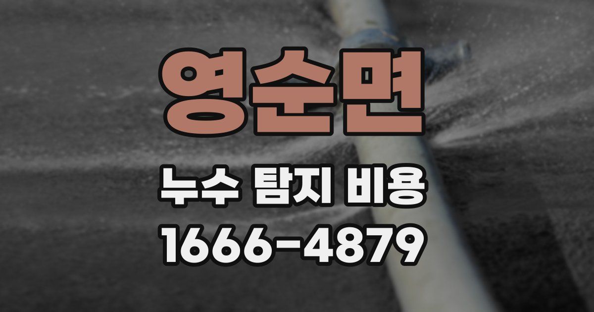 영순면 누수 탐지 비용