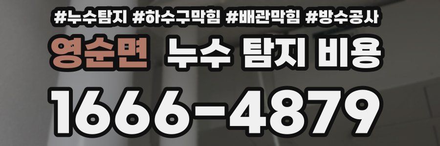 영순면 누수 탐지 비용