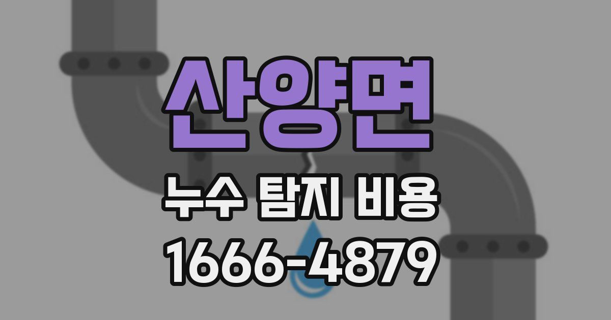 산양면 누수 탐지 비용