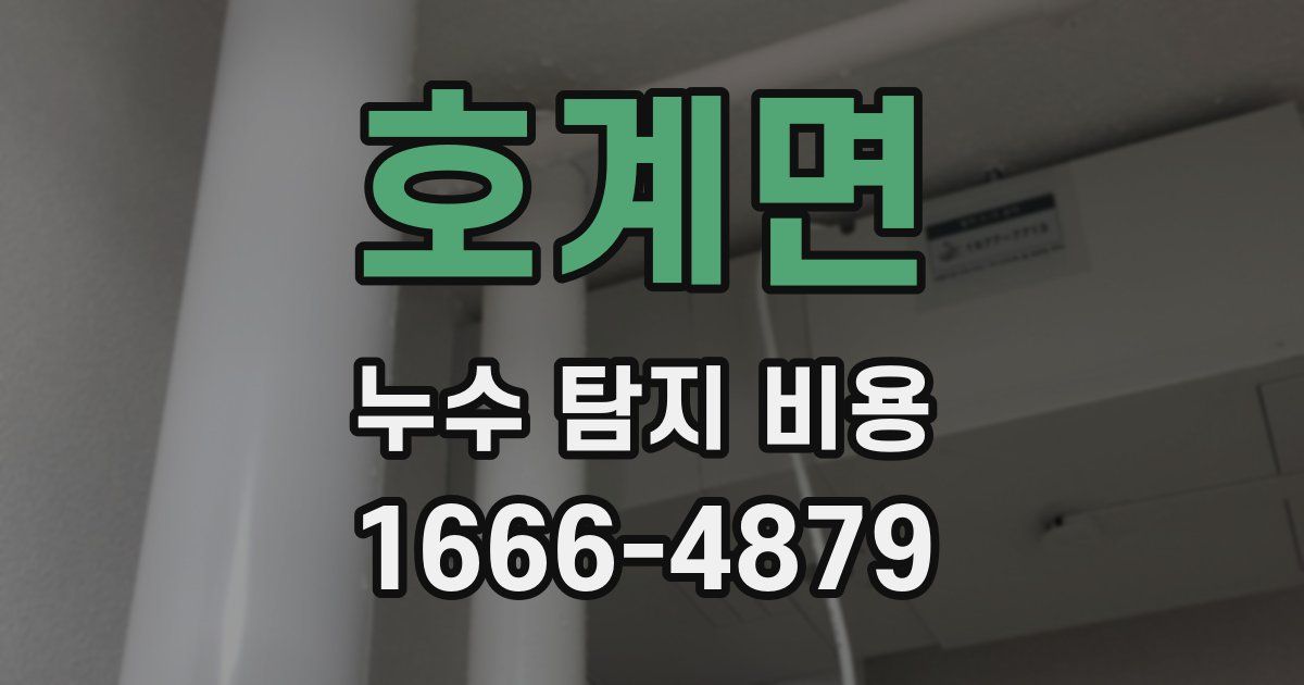 호계면 누수 탐지 비용
