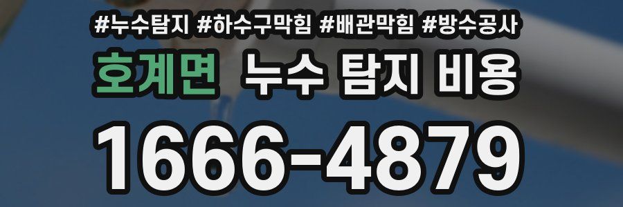 호계면 누수 탐지 비용