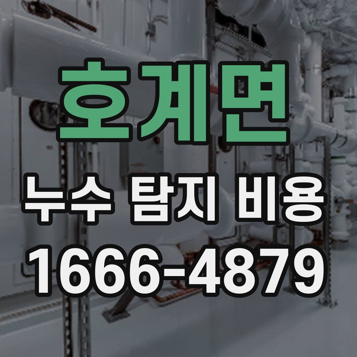 호계면 누수 탐지 비용