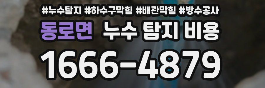 동로면 누수 탐지 비용