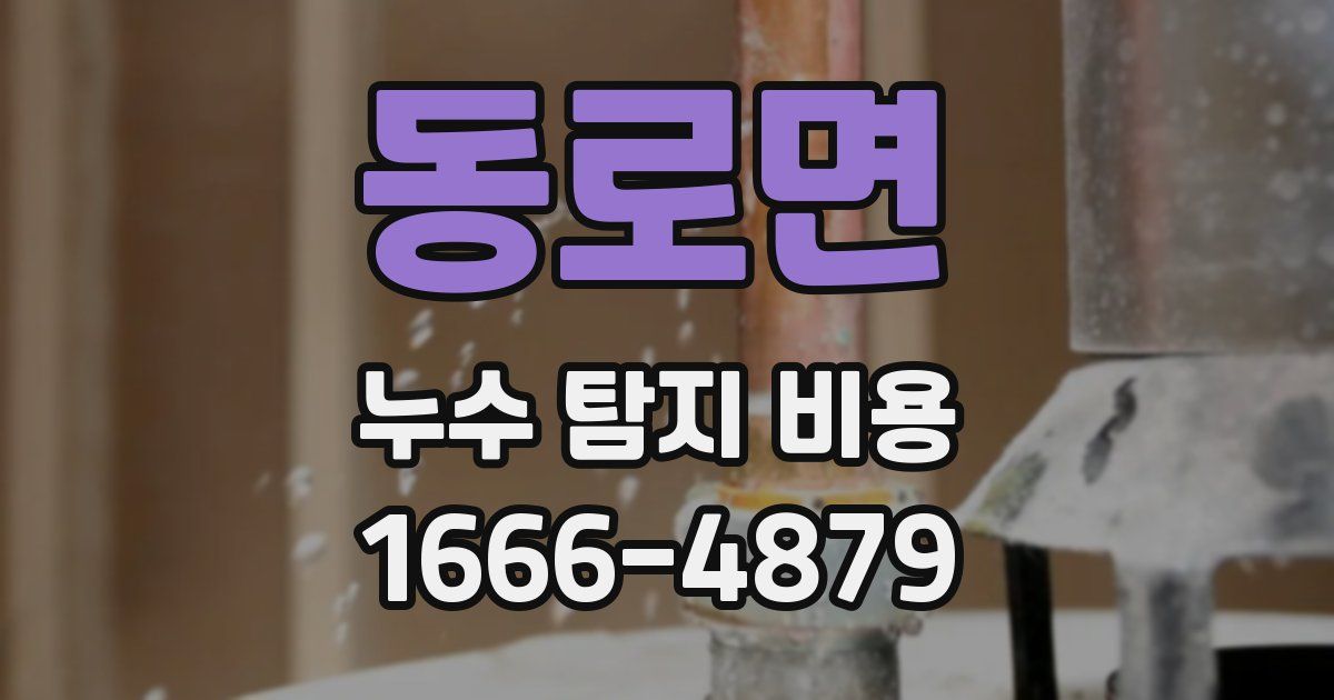 동로면 누수 탐지 비용