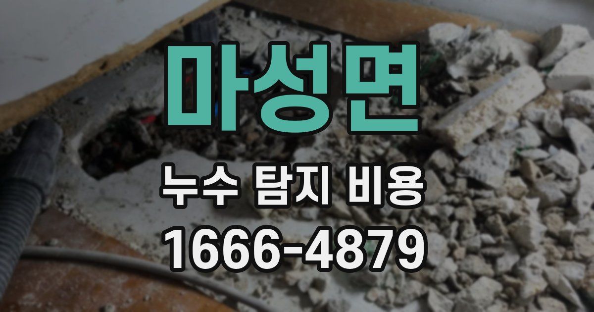 마성면 누수 탐지 비용