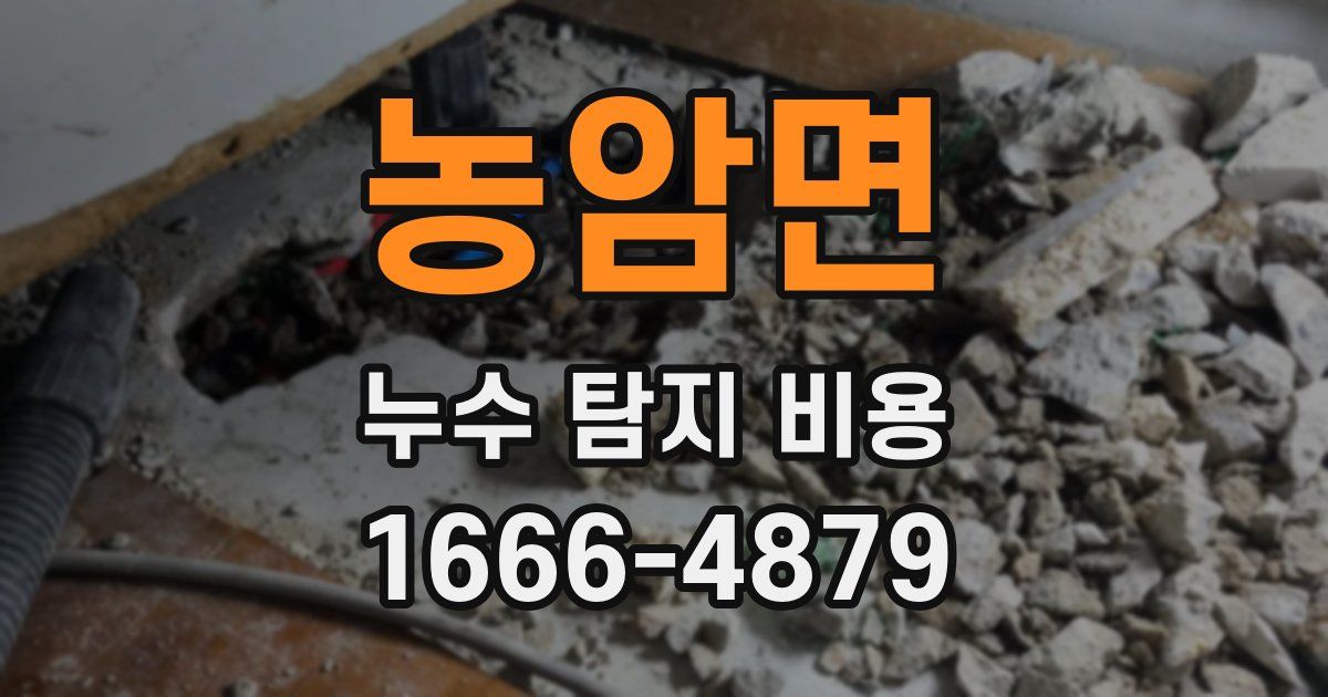 농암면 누수 탐지 비용