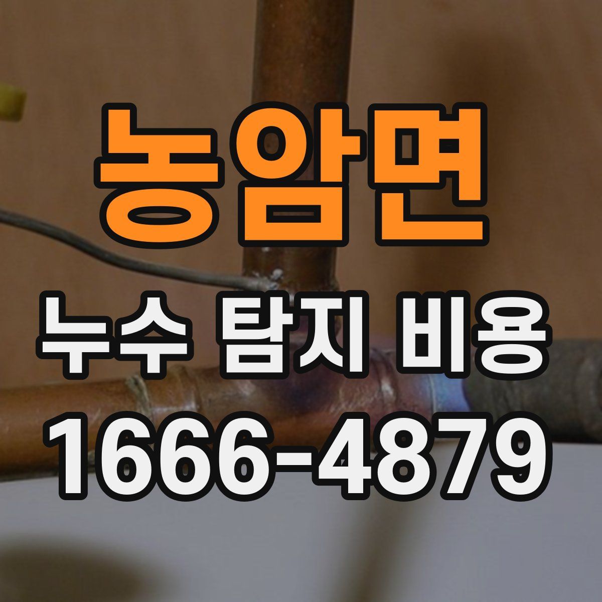 농암면 누수 탐지 비용