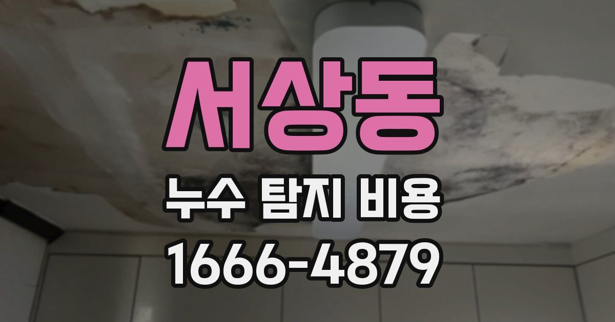 서상동 누수 탐지 비용