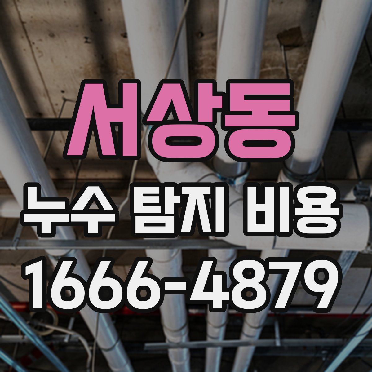 서상동 누수 탐지 비용