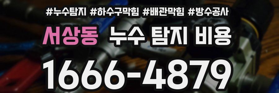 서상동 누수 탐지 비용
