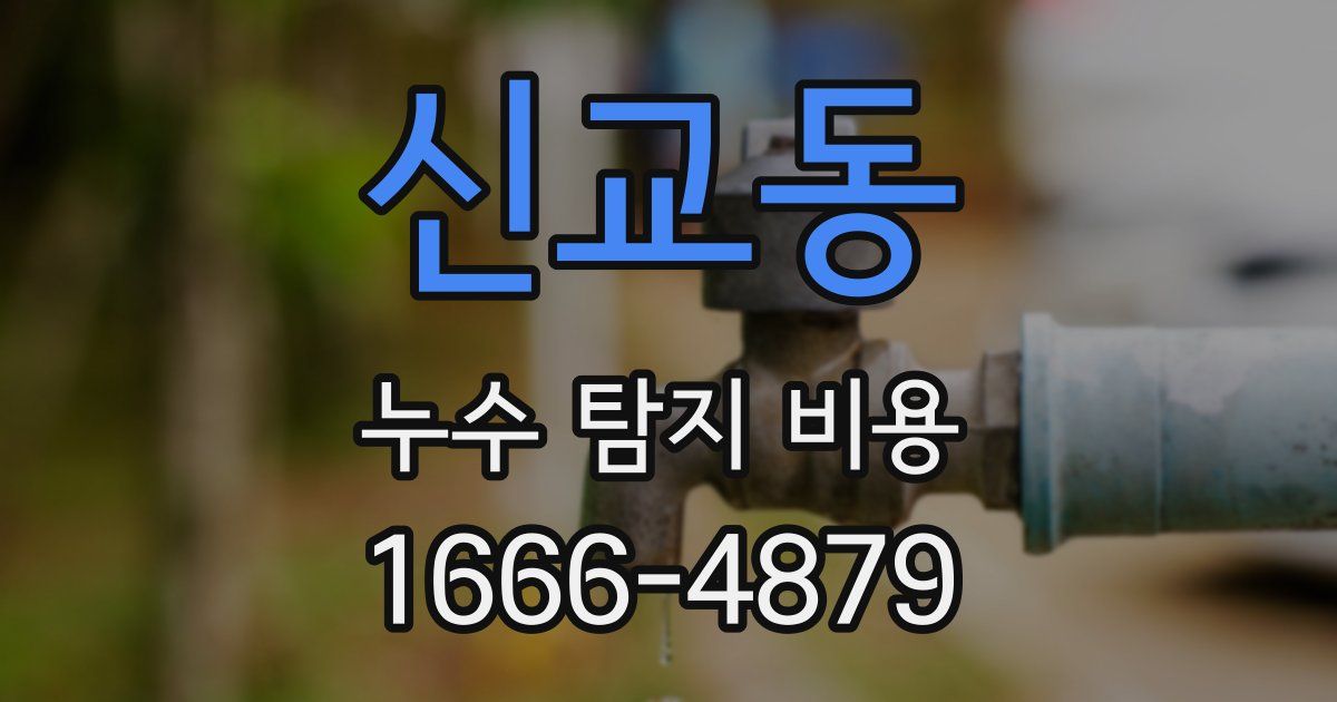 신교동 누수 탐지 비용