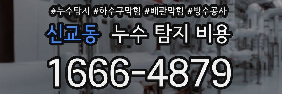 신교동 누수 탐지 비용