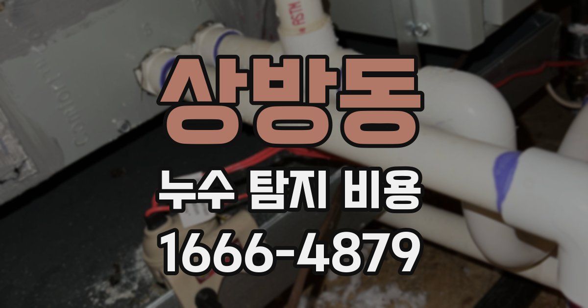 상방동 누수 탐지 비용
