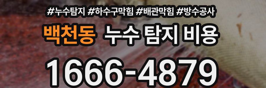 백천동 누수 탐지 비용