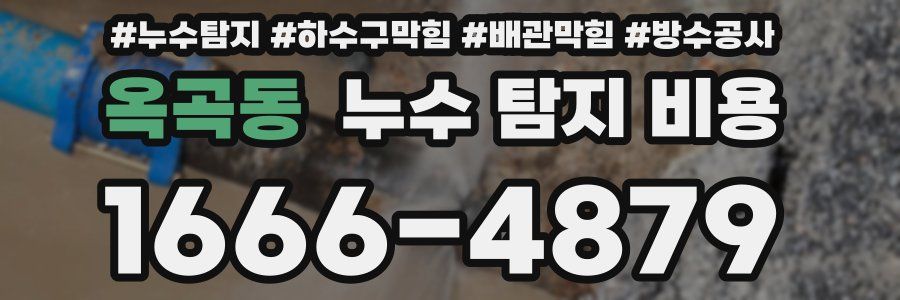 옥곡동 누수 탐지 비용