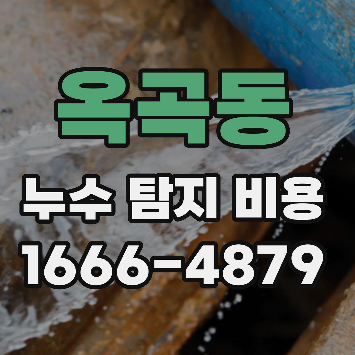 옥곡동 누수 탐지 비용