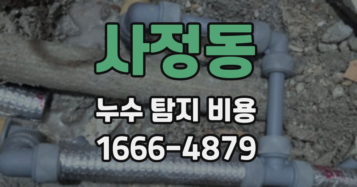 사정동 누수 탐지 비용