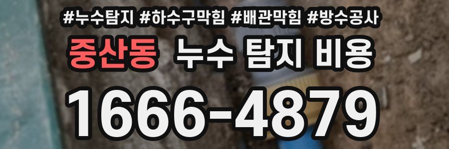 중산동 누수 탐지 비용