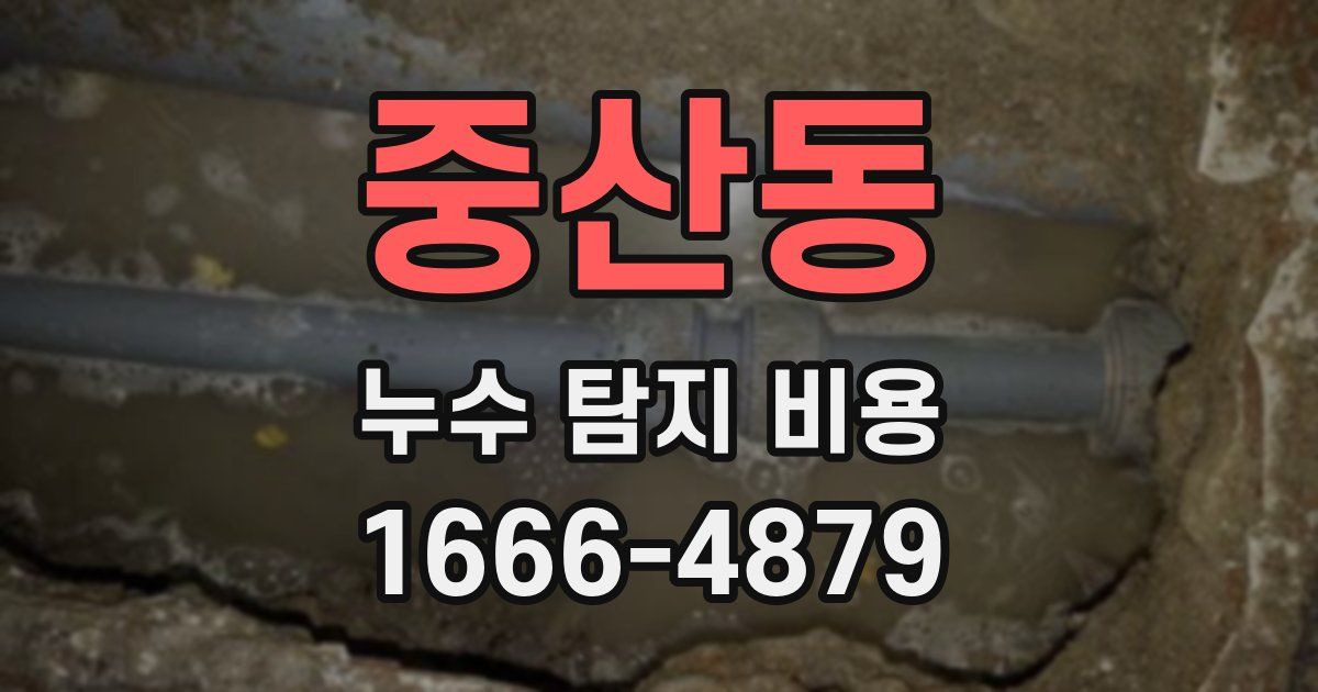 중산동 누수 탐지 비용