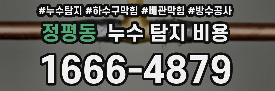 정평동 누수 탐지 비용