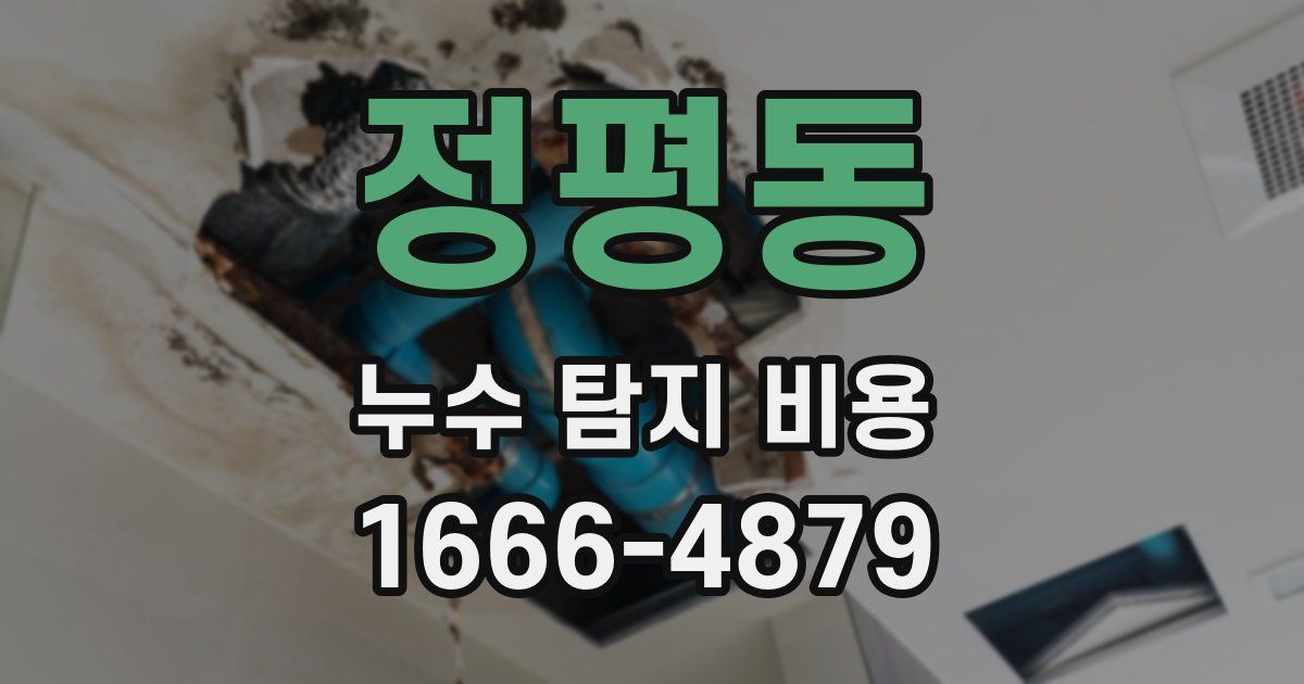정평동 누수 탐지 비용