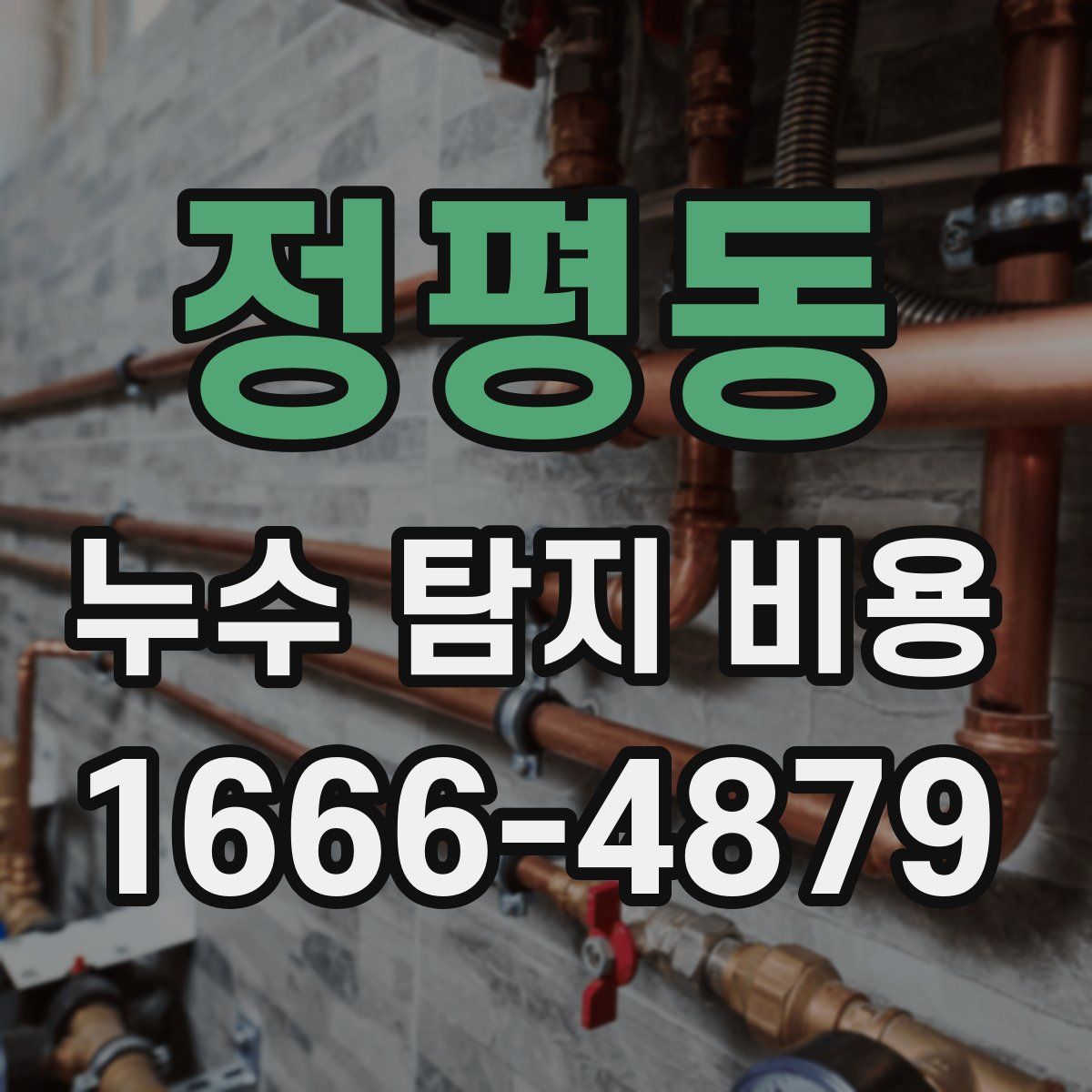 정평동 누수 탐지 비용