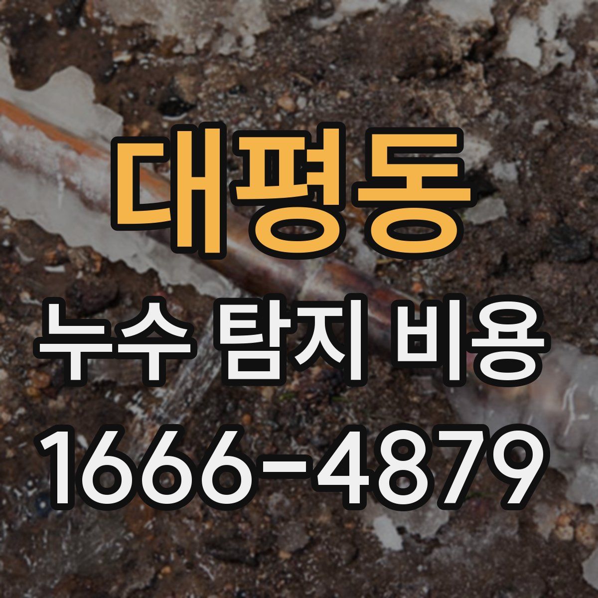 대평동 누수 탐지 비용