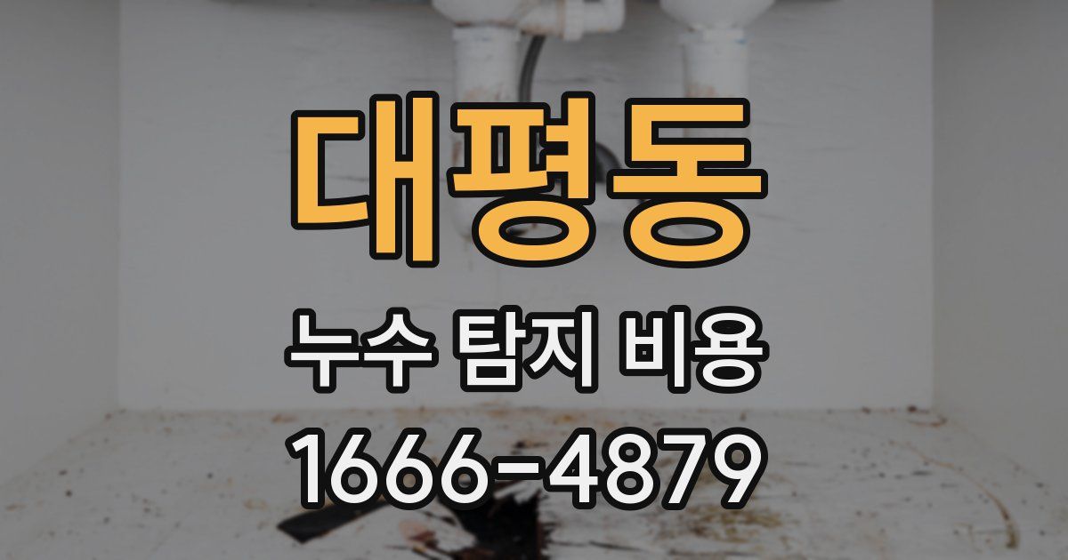대평동 누수 탐지 비용