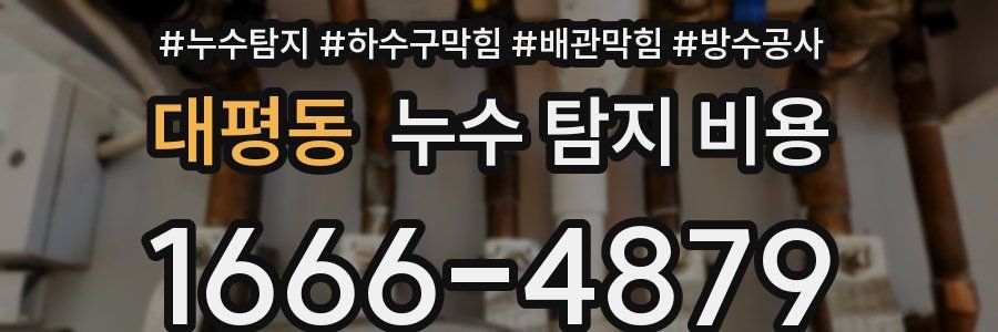 대평동 누수 탐지 비용
