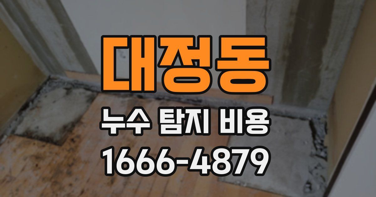 대정동 누수 탐지 비용