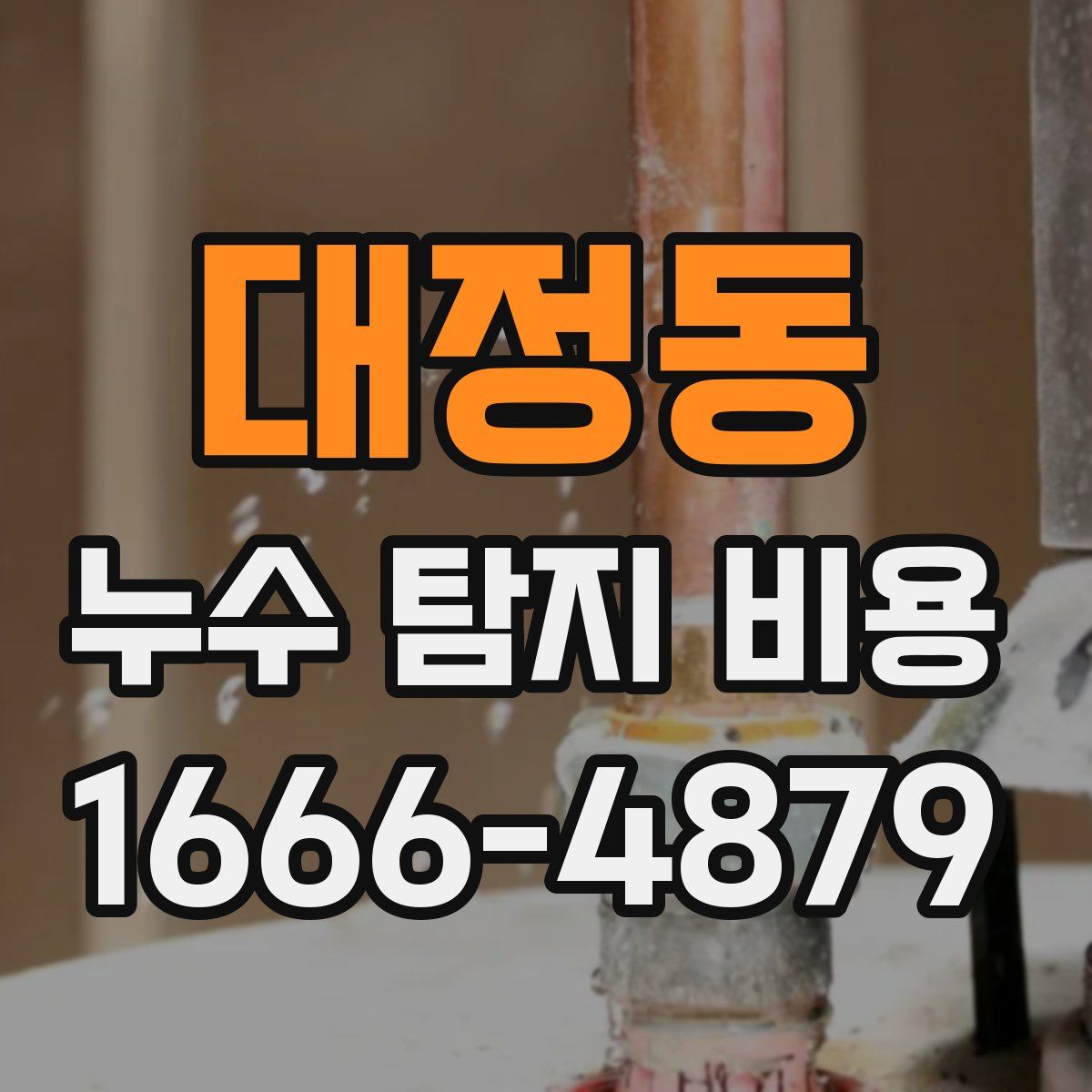 대정동 누수 탐지 비용