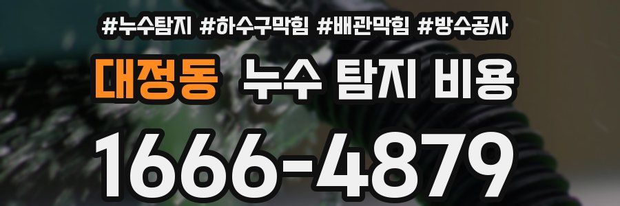 대정동 누수 탐지 비용
