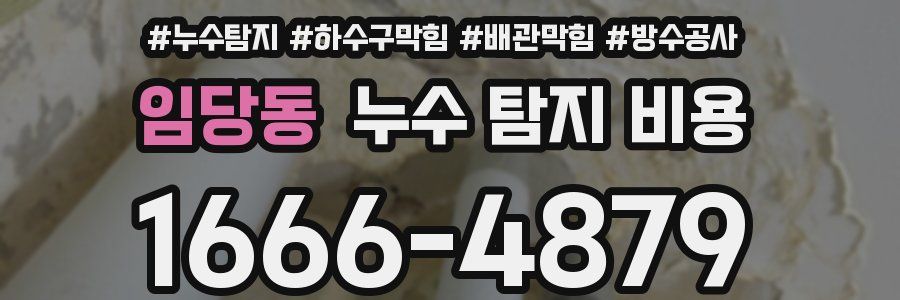 임당동 누수 탐지 비용