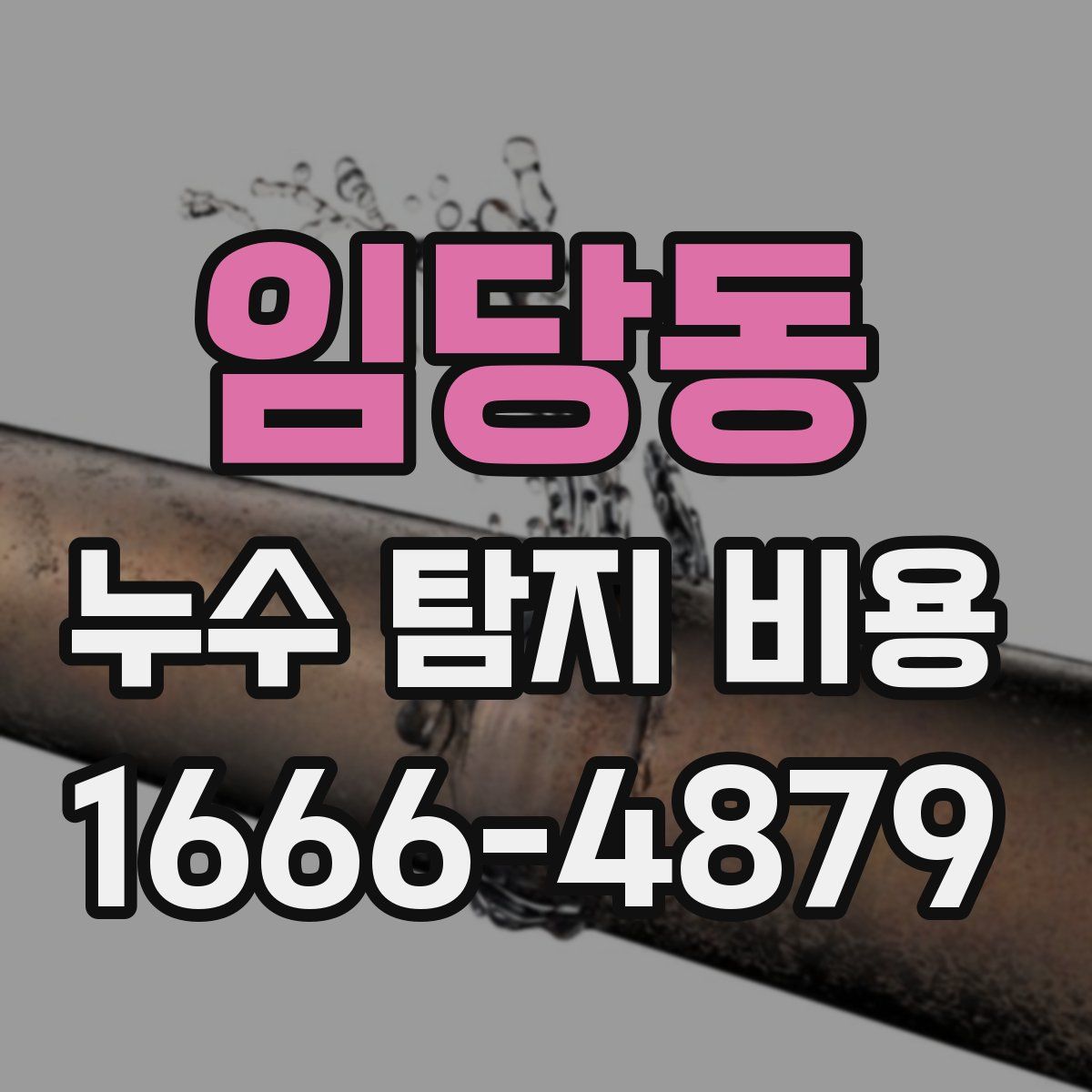 임당동 누수 탐지 비용