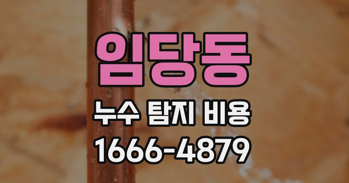 임당동 누수 탐지 비용