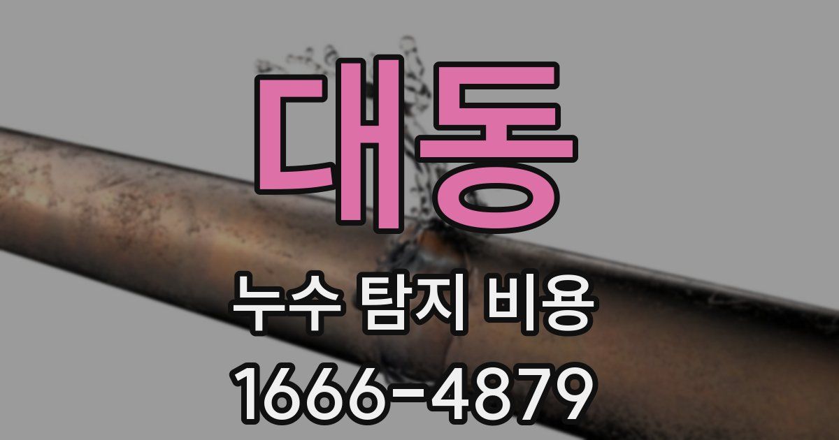대동 누수 탐지 비용