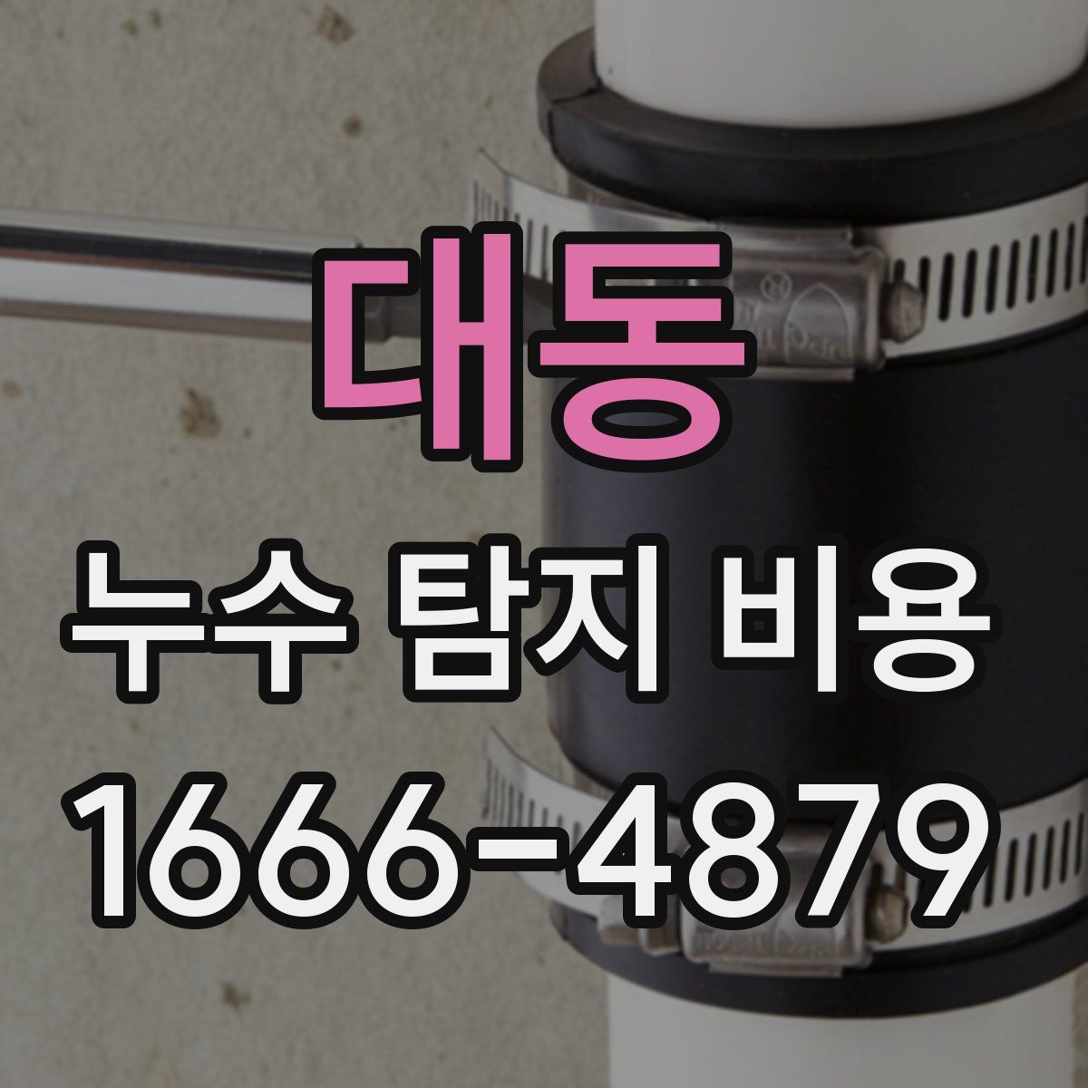 대동 누수 탐지 비용