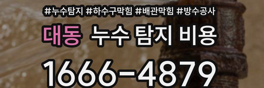 대동 누수 탐지 비용