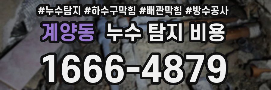 계양동 누수 탐지 비용