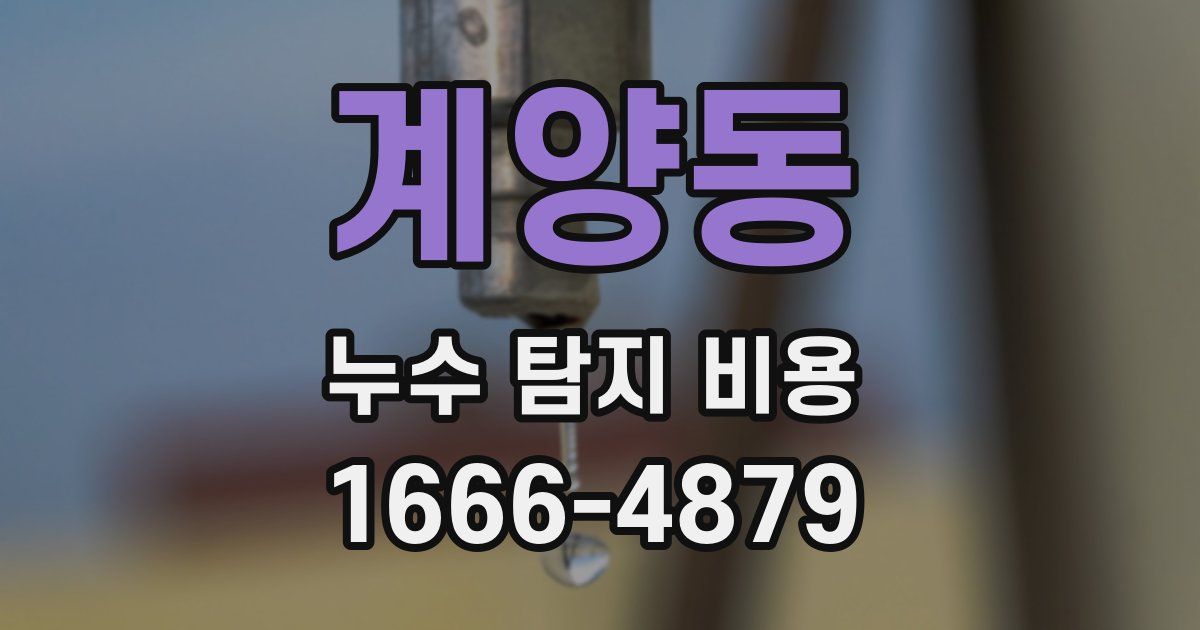 계양동 누수 탐지 비용