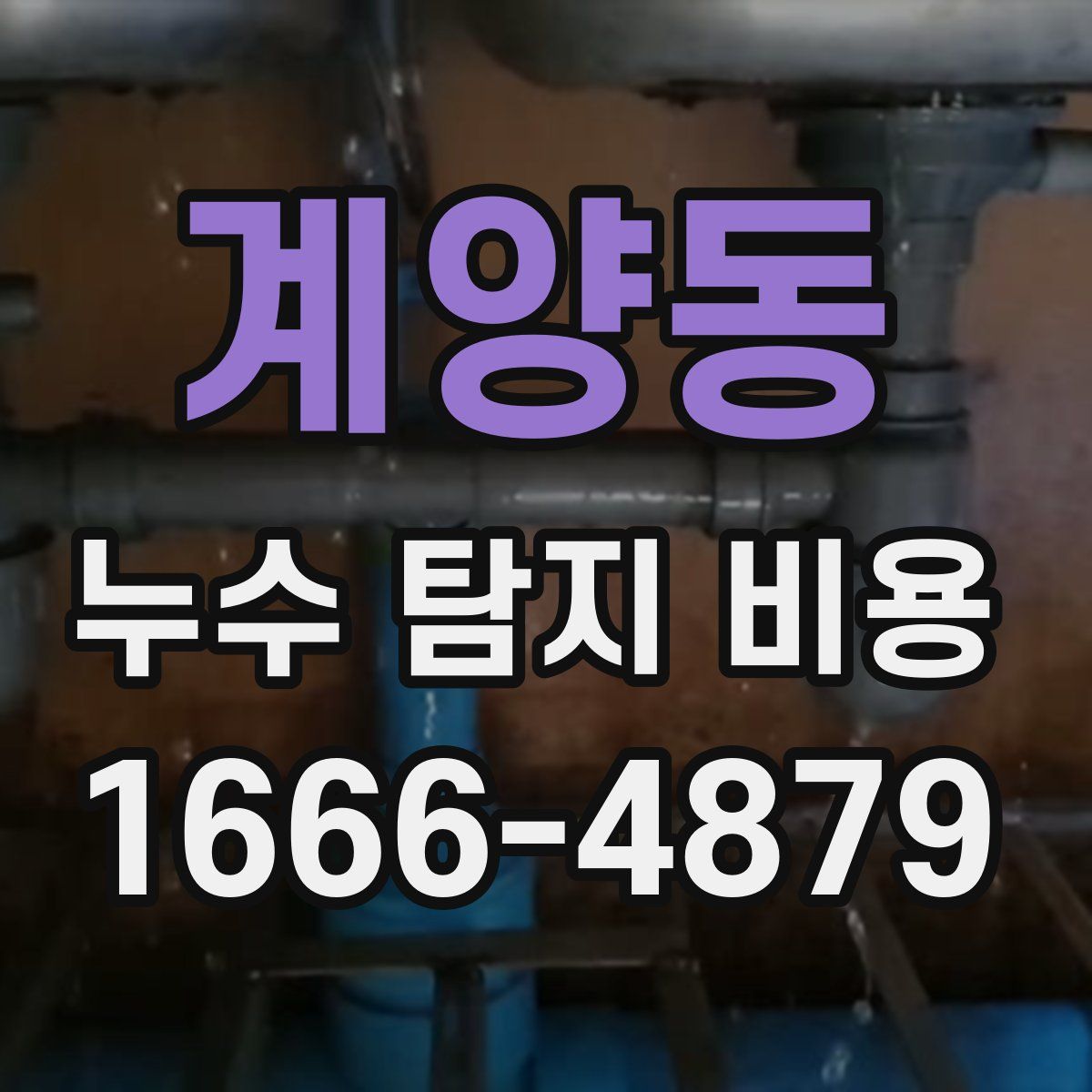 계양동 누수 탐지 비용